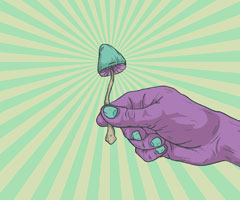 Emisphere - Pharma Technology Focus | Issue 81 | April 2019