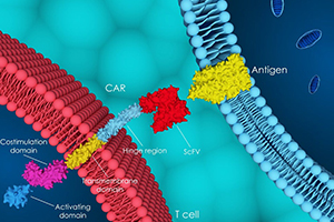 Briefing - Pharma Technology Focus | Issue 154 | May 2025