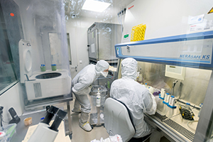 RHEACELL Company Insight - Pharma Technology Focus | Issue 148 ...